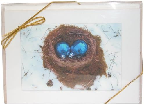 NW Pitney Ink Comfort and Joy Boxed Christmas Holiday Cards, 7 x 5 Inches, 6-Count (1227LBS)