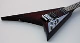 NEW PRO CUSTOM FLAME TOP RHOADS TYPE V ELECTRIC GUITAR