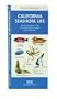 California Seashore Life: An Introduction to Familiar Plants and Animals (State Nature Guides)