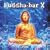 Buddha Bar, Vol. 10