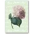 Happy Mother's Day with Hortensia - 5" x 7" Vellum Overlay Mother's Day Greeting Card