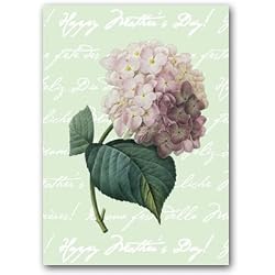 Happy Mother's Day with Hortensia - 5" x 7" Vellum Overlay Mother's Day Greeting Card