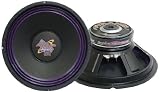 10'' High Power Paper Cone 8 Ohm Woofer