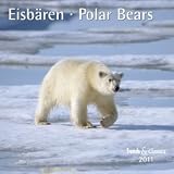 Eisbären 2011. Trends & Classics Kalender