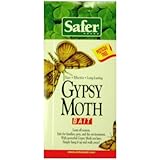 Safer Brand 47006 Gypsy Moth Trap Replacement Bait