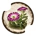 Cactus Flowers Car Drink Coasters - Style DKT5