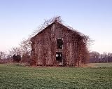 Rural Barn in Kudzu Photograph - Beautiful 16x20 Photographic Print by Carol M. Highsmith