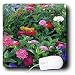 Flowers - Zinnias - Mouse Pads