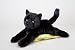 Plush Tug Black Cat 12"