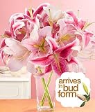 Sale Flowers - Thinking of You Lilies with Vase by Proflowers