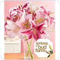Lilies