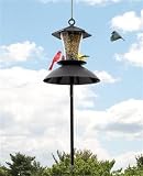 Zenith Innovation 005 Bird Feeder Hang Up with Squirrel Guard