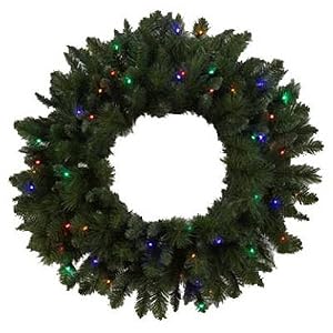 Neo Neon LED-025DIY-300-A-3V-M Battery Operated PVC Wreath With Dome Lights (Pack of 2) by 