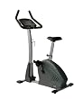 Fitnex B30 Upright Home Exercise Bike