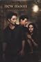 New Moon Oversized 2010 Calendar