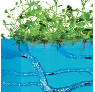 Giant Lighted Ecosystem Ant Habitat with FREE Certificate for 25 Live Ants (1 Tube of Ants)