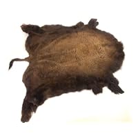 Buffalo Hide