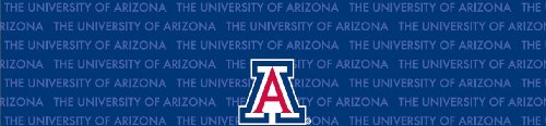 Arizona Wildcats Team Auto Visor Decal
