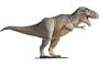Dinosaurs- Tryannosaurus Rex