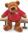 Gund Plush All Stars Football Bear 19"