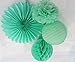 SUNBEAUTY Mint Series Mint Green Tissue Paper Pompom Paper Fan Mint Honeycomb Ball and Mint Green Paper Lanterns Pack of 4