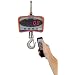 Salter Brecknell CS2000 Electronic Crane Scale with LED Display, 2000 lbs Capacity, 17" Length x 8-1/2" Width x 5-19/64" Depth