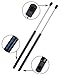 Vepagoo 2 Front Hood Shocks Springs Struts for Acura MDX 2001 2002 2003 2004 2005 2006 Gas Lift Supports