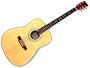 Hameln Acoustic Guitar with Solid Spruce Top, Nato Back, Rosewood Fret Board & Gig Bag