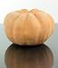 Terra Cotta Pumpkins Medium Set of 4