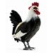 Ampilex Rooster Large Plush Toy 17" H