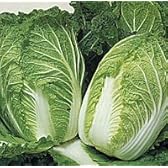 雪風[白菜]【タネ】20ml