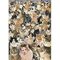 Ravensburger Cats Galore! 1,000 pc pzl