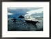 Outrigger Boats at Dusk in Sigaboy, Davao Oriental, Philippines, Southern Mindanao Framed Photographic Poster Print by Eric Wheater, 21x17
