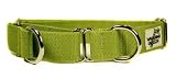 Designer Dog Collar - Bamboo Zen Dog Martingale Collar - Green - Medium - Made in USA
