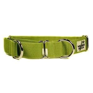 Designer Dog Collar - Bamboo Zen Dog Martingale Collar - Green - Large - Made in USA