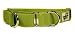 Designer Dog Collar - Bamboo Zen Dog Martingale Collar - Green - Medium - Made in USA