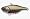 Wound Shad