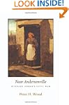 <i>Near Andersonville</i>: Winslow Ho...