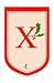 Holly Berry Monogram Flag - X