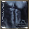 Masculine 30x60 Wand-Kalender Broschürenkalender 2009 Neu OVP