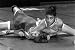 women's Wrestling - LSP-VV32 - 1991 World Cup of International Wrestling - American Championship