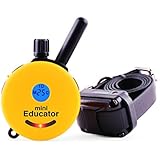 Best Dog Training e Collar - Educator Einstein Remote Trainer - Mini Educator 1/2 Mile Remote Trainer ET-300TS WaterProof - Vibration Tapping Sensation With eOutletDeals Postcard Magnet Calendar
