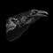 The Best Music of 2007