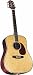 Takamine TNV360S Nashville Dreadnought Acoustic-Electric Guitar