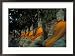 Buddhas, Wat Yai Chai Mongkhon, Ayuthaya, Thailand Collections Framed Photographic Poster Print by Frank Staub, 29x22