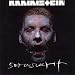 RAMMSTEIN  ALBEN  /  DVD's