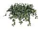 Artificial Pothos Ledge Plant with Long Trailers