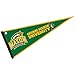 College Flags & Banners Co. George Mason Patriots Pennant Full Size Felt