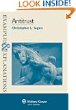 Examples & Explanations: Antitrust