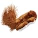 Kong Catnip Cat Toy, Squirrel